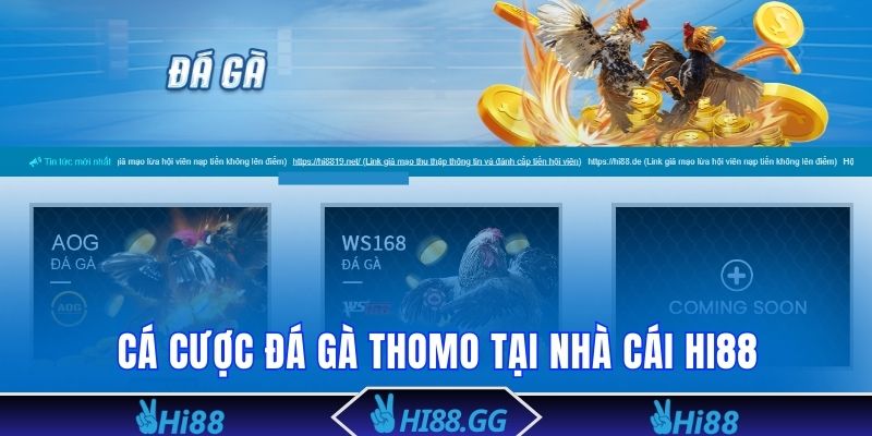 Cùng Hi88 săn thưởng Đá gà với tính chất tiện lợi, an toàn