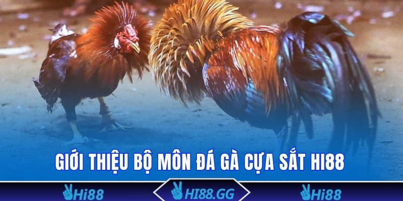 Tổng quan về bộ môn đá gà cựa sắt Hi88