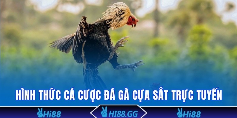 Hình thức cá cược đá gà chọi cựa sắt