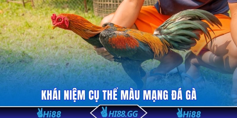 Khái niệm cụ thể màu mạng đá gà