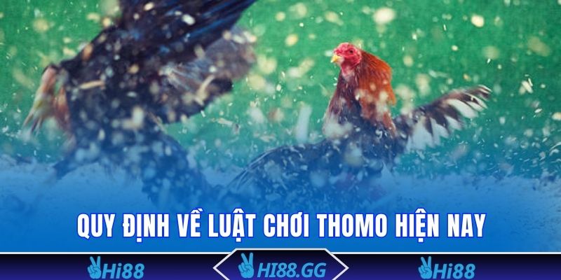 Tham gia cá cược Thomo với quy luật chặt chẽ, rõ ràng